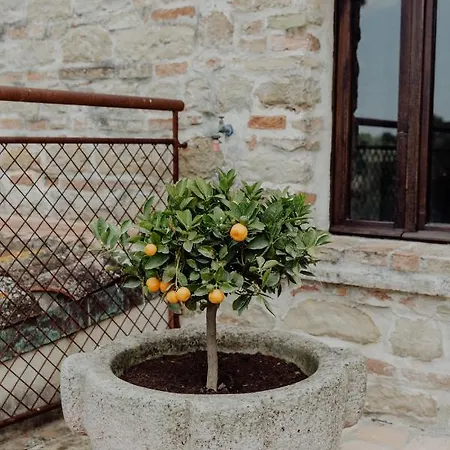 Qui Voglio 컨트리하우스 *