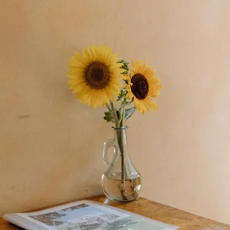 Casa di campagna Qui Voglio